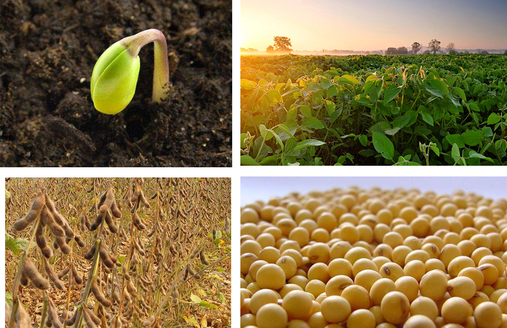 1766020815281893.jpg 1553691109155079.jpg